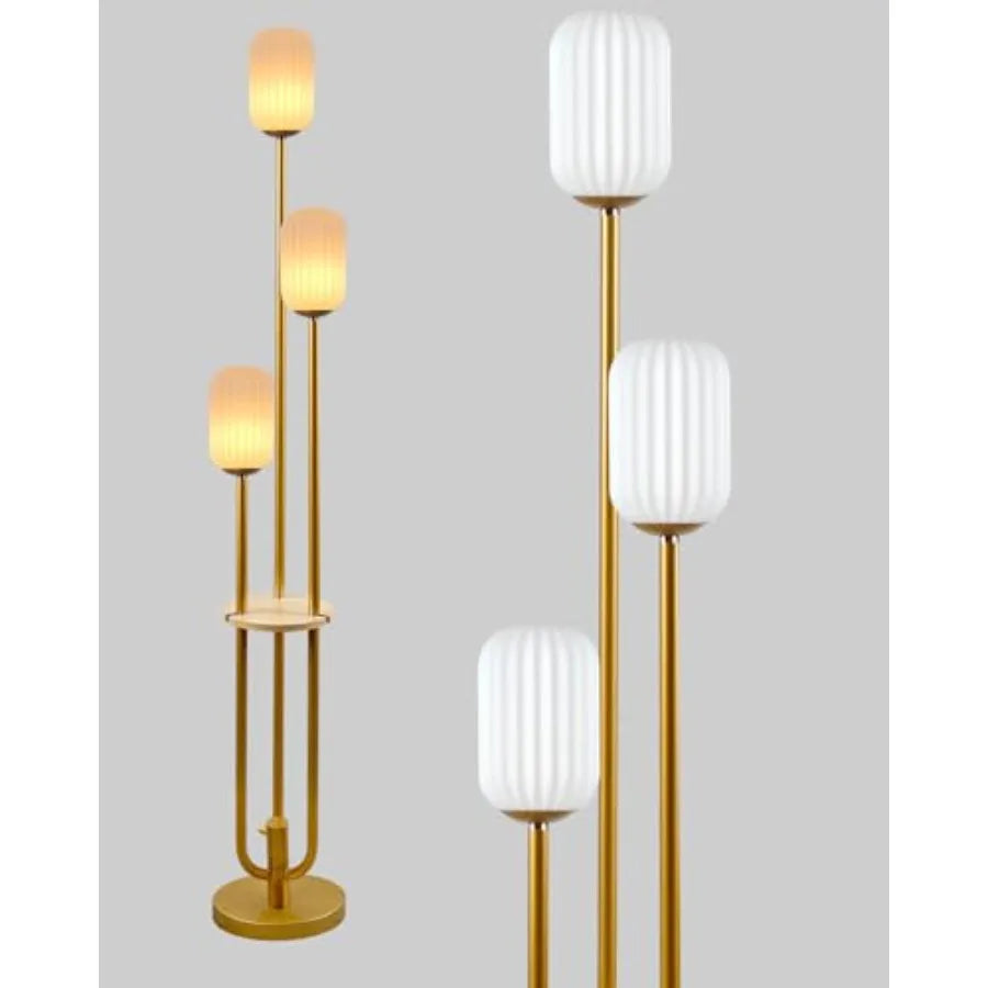 63Inch Floor Lamp Dimmable  with 5Lbs Heavy Base , MSM Styling