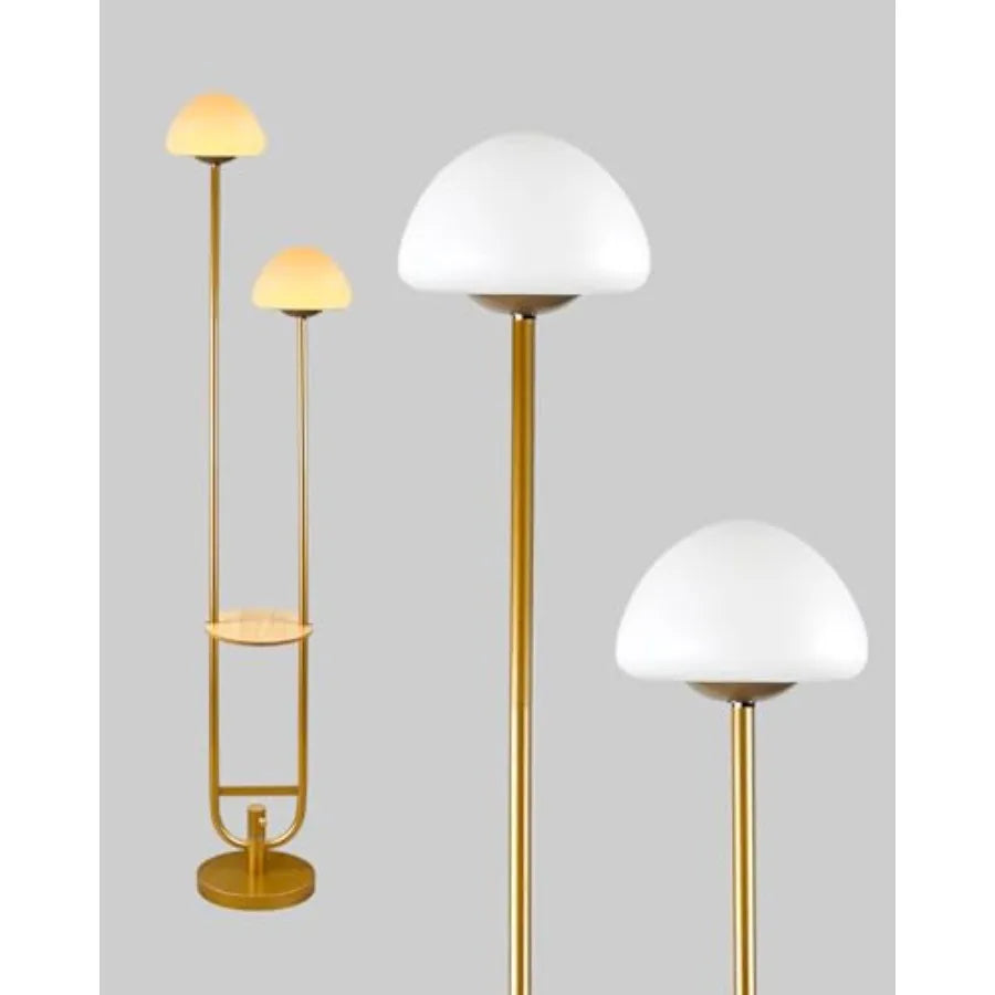 63Inch Floor Lamp Dimmable  with 5Lbs Heavy Base , MSM Styling