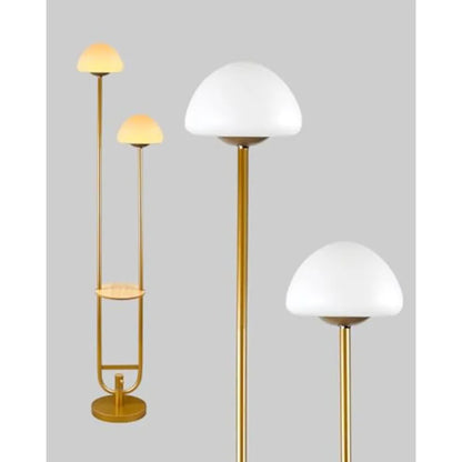63Inch Floor Lamp Dimmable  with 5Lbs Heavy Base , MSM Styling