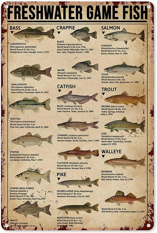 Fishing Art Posters Metal Sign Freshwater Game Fish Type Of Knowledge