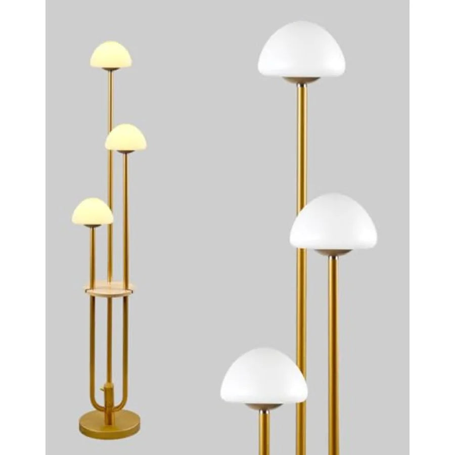 63Inch Floor Lamp Dimmable  with 5Lbs Heavy Base , MSM Styling