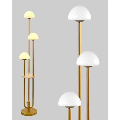 63Inch Floor Lamp Dimmable  with 5Lbs Heavy Base , MSM Styling