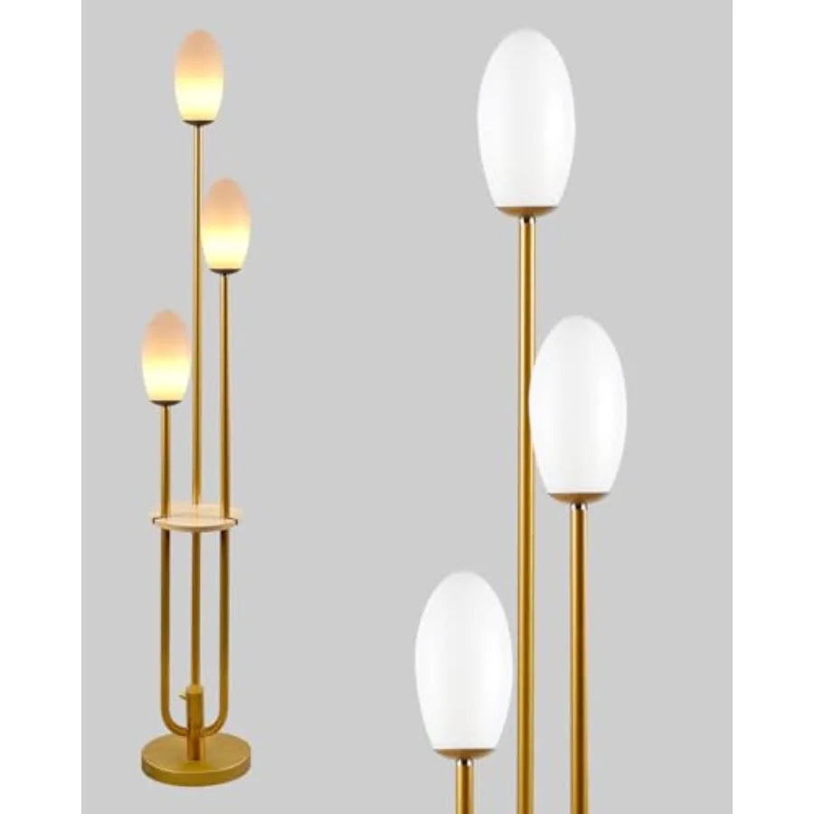63Inch Floor Lamp Dimmable  with 5Lbs Heavy Base , MSM Styling