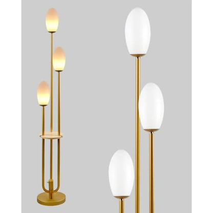 63Inch Floor Lamp Dimmable  with 5Lbs Heavy Base , MSM Styling