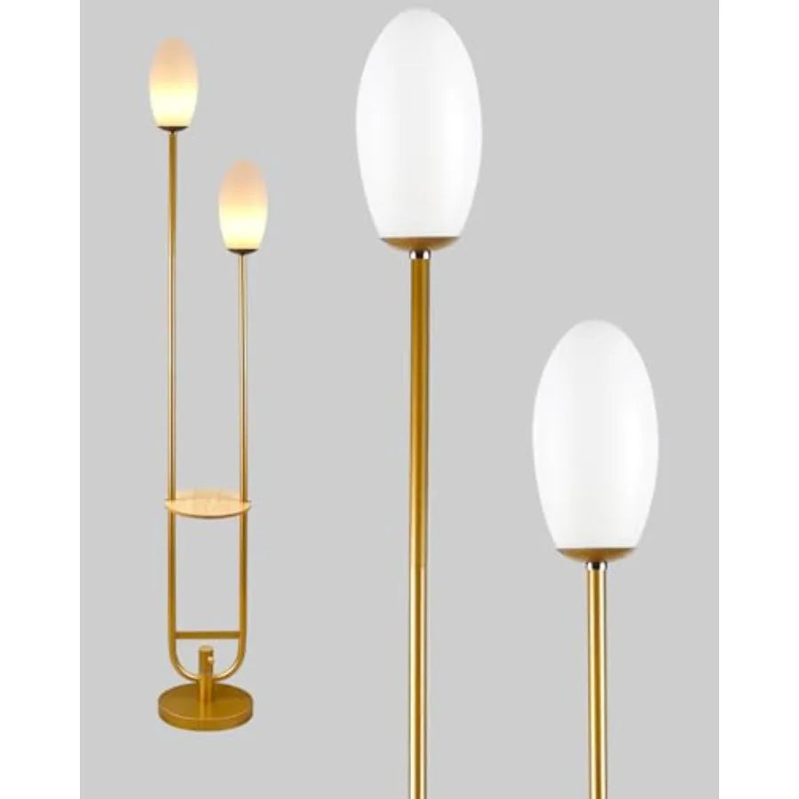 63Inch Floor Lamp Dimmable  with 5Lbs Heavy Base , MSM Styling