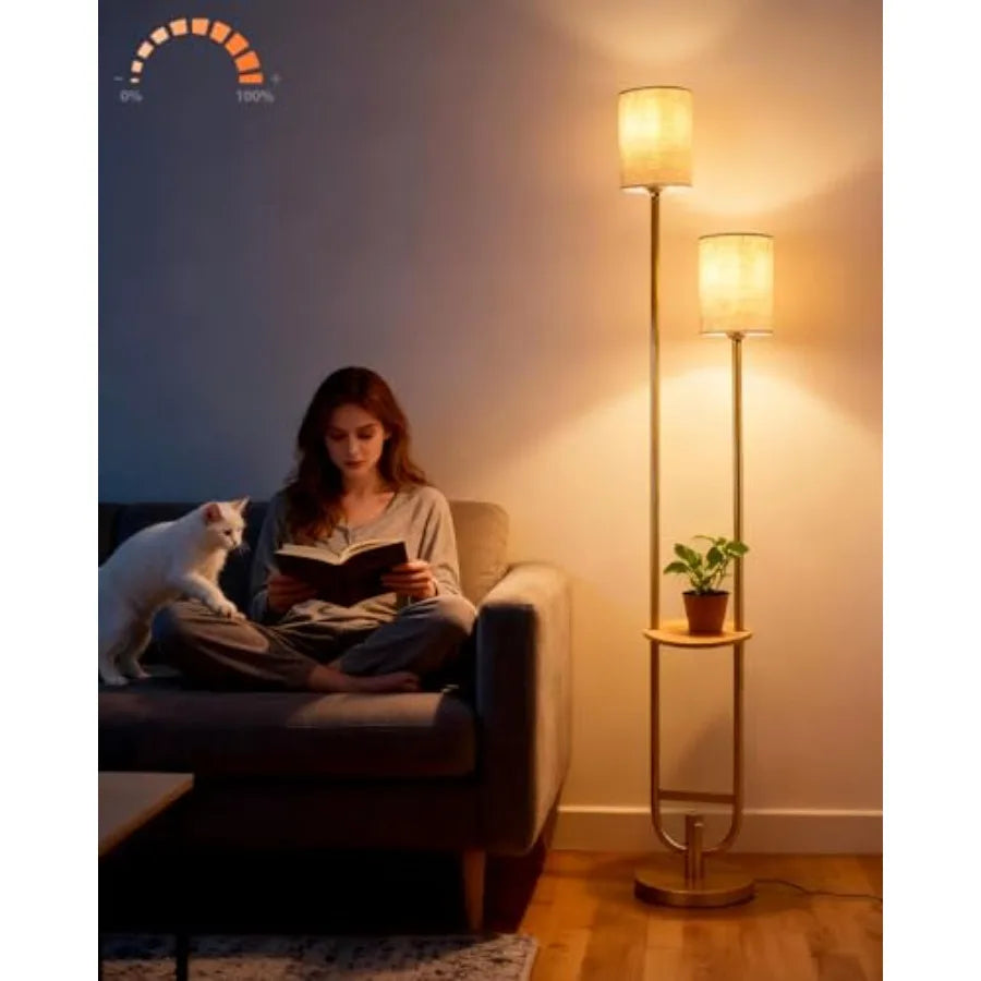 63Inch Floor Lamp Dimmable  with 5Lbs Heavy Base , MSM Styling